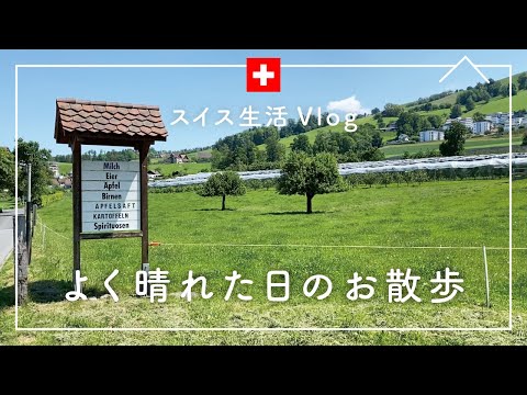スイス生活vlog｜週末、よく晴れた日のお散歩｜海外生活｜海外暮らし
