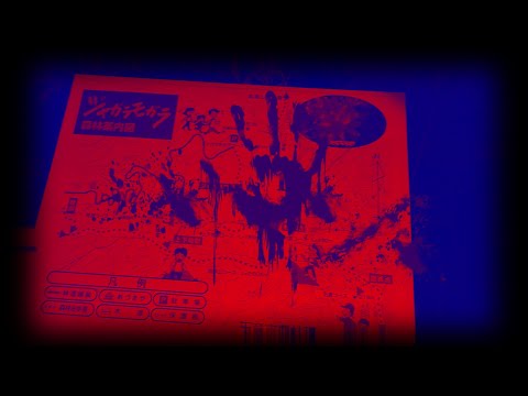 【心霊散歩】山形県·姥捨山のジャガラモガラへ深夜の散策