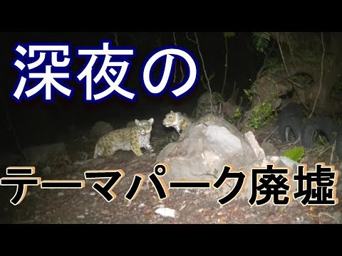 （台湾心霊スポット）深夜のテーマパーク廃墟を散策してみた（幸福楽園廃墟）